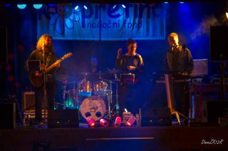 Vřesovice - ples Nadačního fondu Kopretina (8. 3. 2013)
